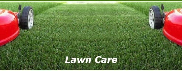 lawn-care