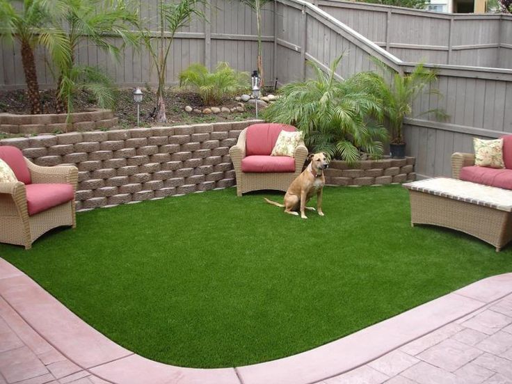 dog-friendly lawn