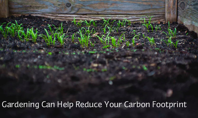 Gardening Can Help Reduce Your Carbon Footprint