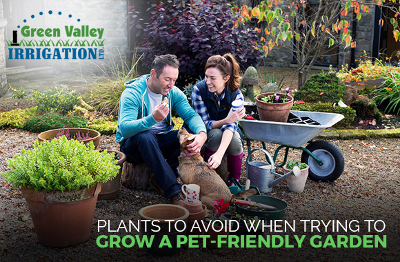 Plants to Avoid When Trying to Grow a Pet-Friendly Garden