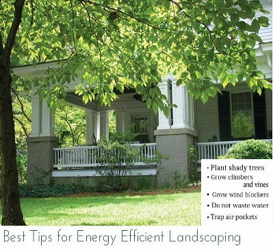Best Tips for Energy Efficient Landscaping