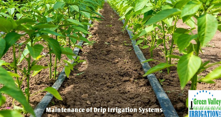 How to Maintain Drip Irrigation Systems