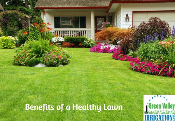 benefits-a-healthy-lawn