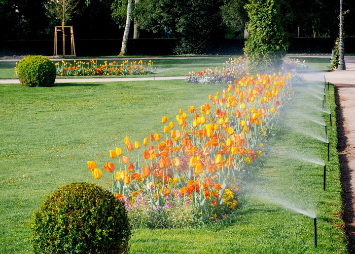 Reasons For Installing Garden Irrigation System
