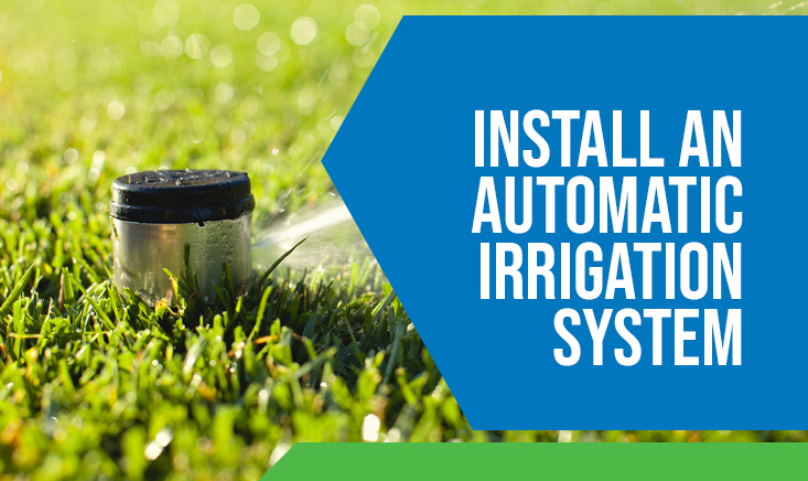 Install an Automatic Irrigation System