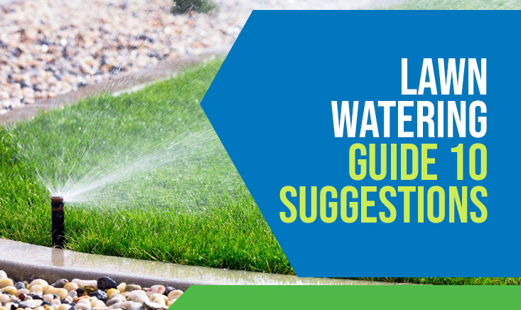 Lawn Watering Guide 10 Suggestions