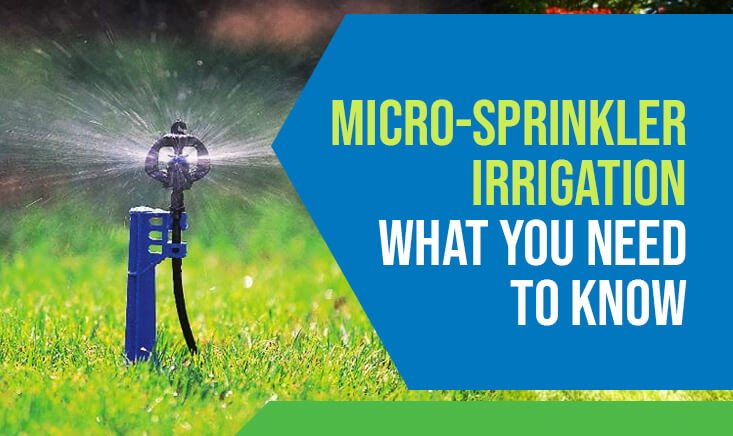Micro-Sprinkler Irrigation What You Need to Know