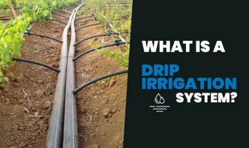 Differences Between Sprinkler Systems and Drip Irrigation