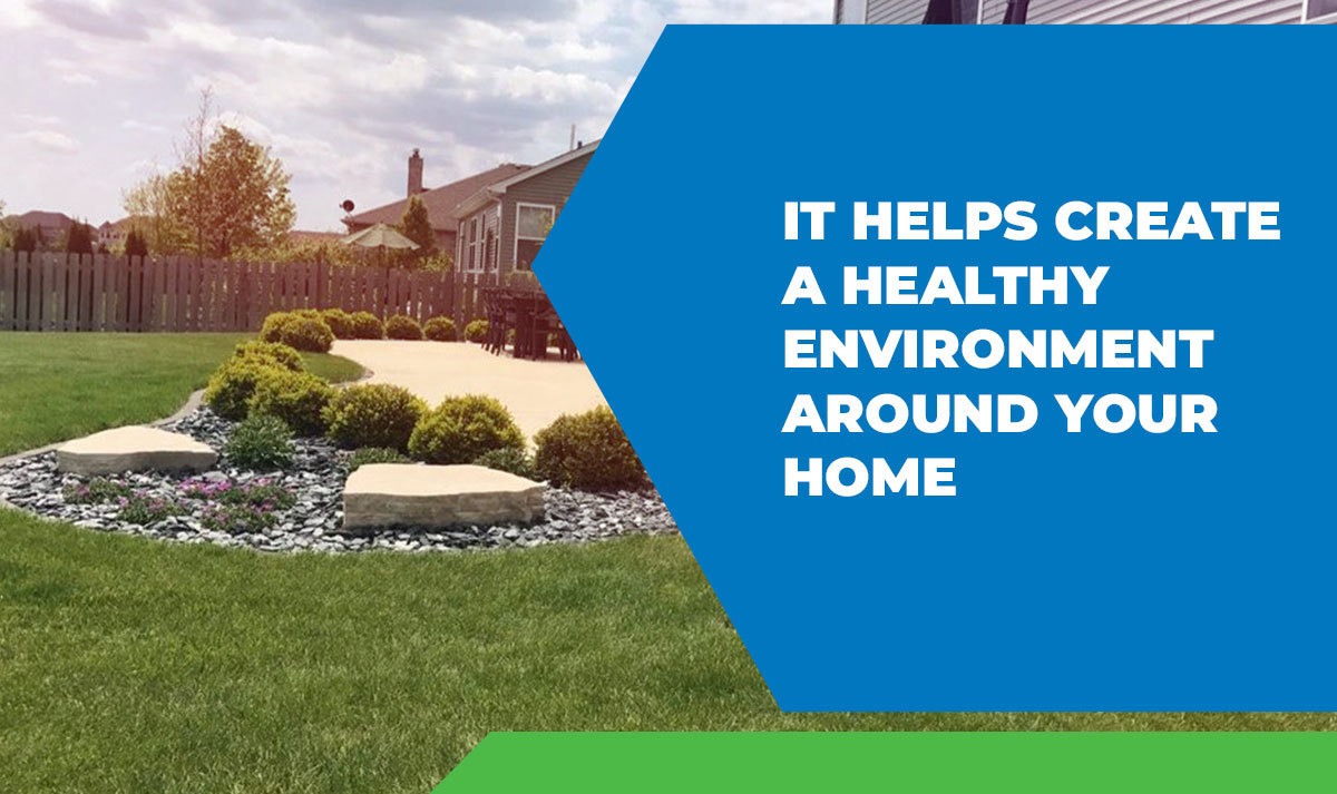 It Helps Create a Healthy Environment Around Your Home