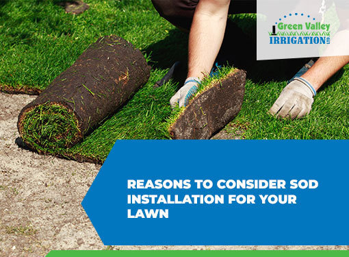 Top 5 Reasons to Consider Sod Installation in Toronto