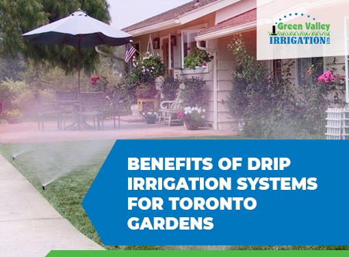 Drip Irrigation Systems in Toronto: Max Your Garden's Potential
