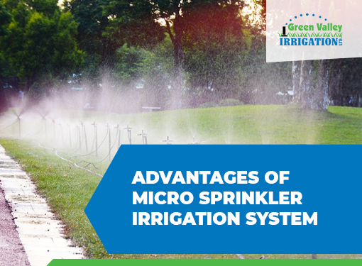 5 Key Advantages of Micro Sprinkler Irrigation Systems