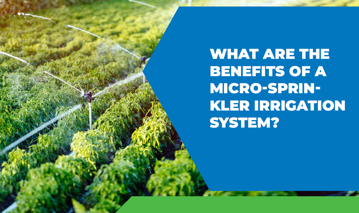 What Are the Benefits of a Micro-Sprinkler Irrigation System